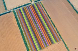 negev - www.israele360.com