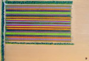 negev - www.israele360.com