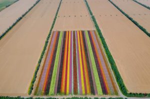 negev - www.israele360.com