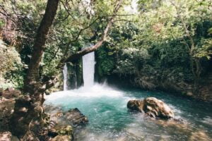 ein gedi - www.israele360.com